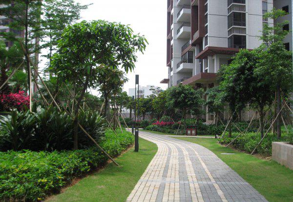 楼房凤凰层什么意思