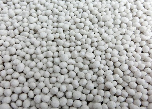 观叶植物用什么肥料好