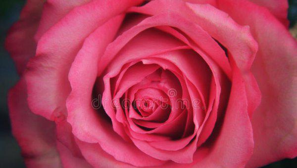 男人多久会厌倦小三