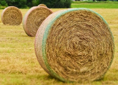 秸秆是什么农作物