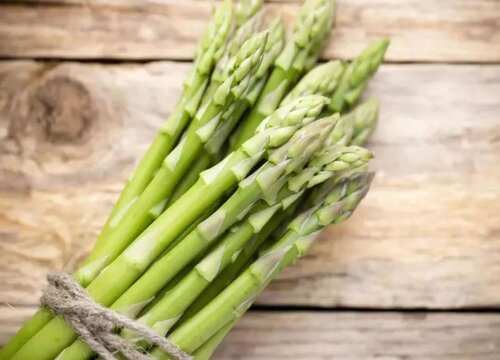 芦笋的种植方法