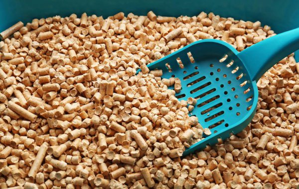 猫砂可以做肥料吗