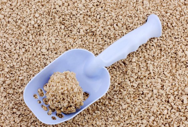 猫砂可以做肥料吗