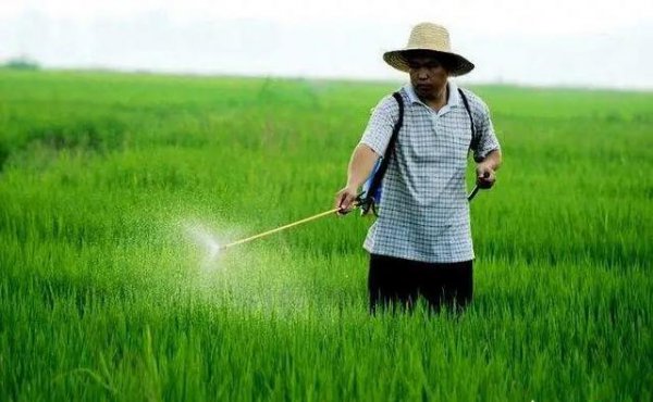 夏天喷洒农药注意事项