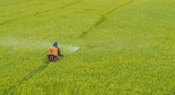 夏天喷洒农药注意事项