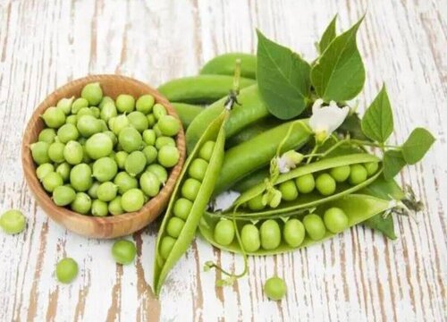 豌豆壳可以做肥料吗