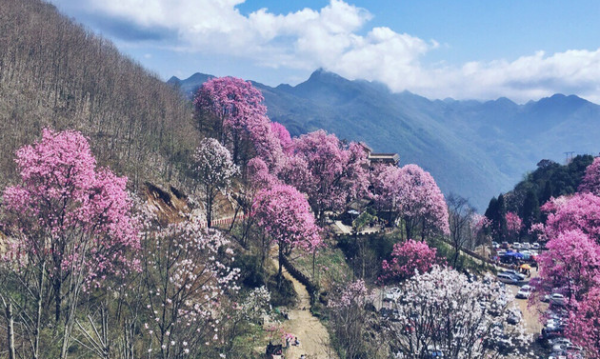 绵阳是哪个省的城市