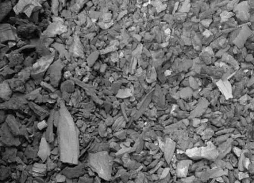 木炭怎么养兰花根系长得粗又壮