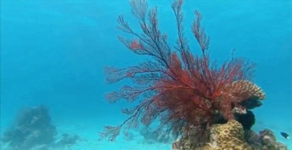 三沙市旅游需要多少钱