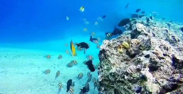 三沙市旅游需要多少钱