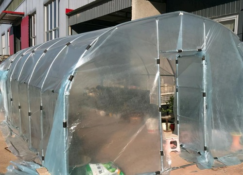 多肉冬天放室外用塑料薄膜盖起来保温