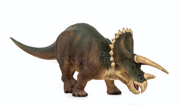 三角龙主要以什么为食物为主