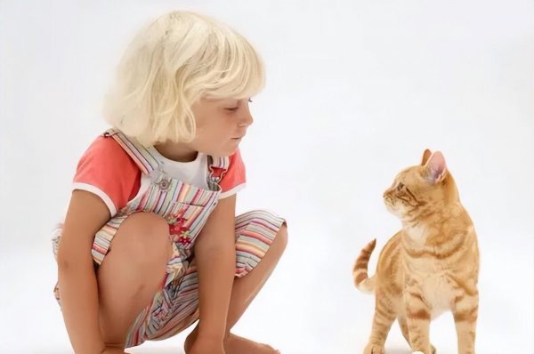 数据标注是做什么的工作