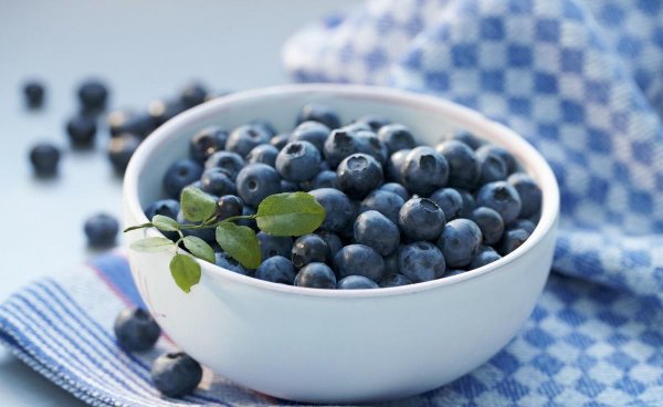 蓝莓树最喜欢的肥料是什么