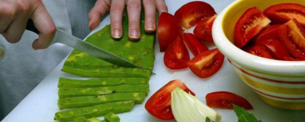 吃仙人掌有什么好处和坏处