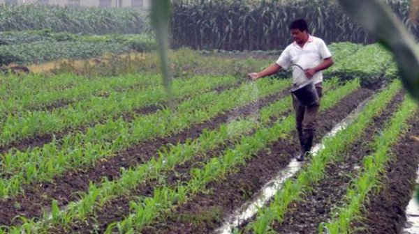 玉米施一次性肥还用追肥吗