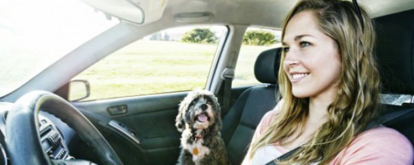 汽车需要注意哪些东西