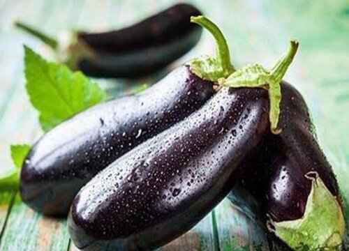 新鲜的茄子怎么存放时间长一些