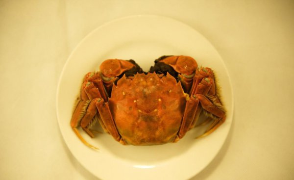 螃蟹怎么清洗和处理更干净