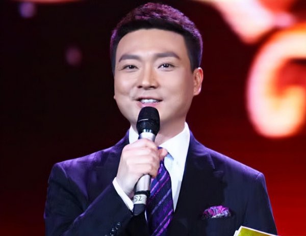 央视主持人康辉个人资料简介