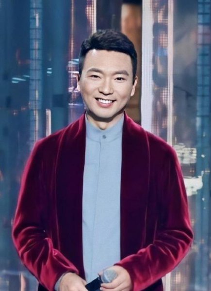 央视主持人康辉个人资料简介