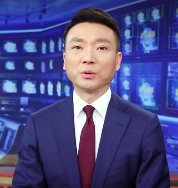 央视主持人康辉个人资料简介