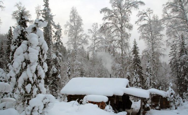 西伯利亚在哪里
