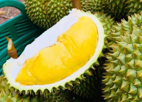 榴莲生的怎么催熟