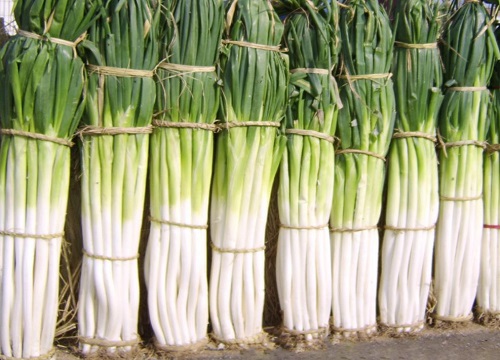 新鲜大葱怎样保存时间长