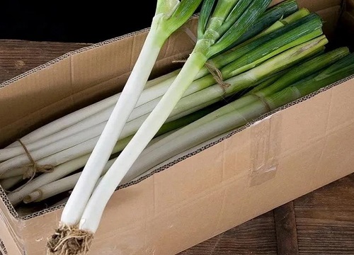 新鲜大葱怎样保存时间长