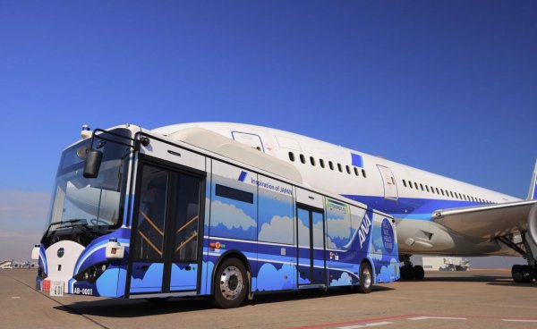 摆渡车是什么意思