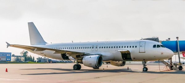 摆渡车是什么意思