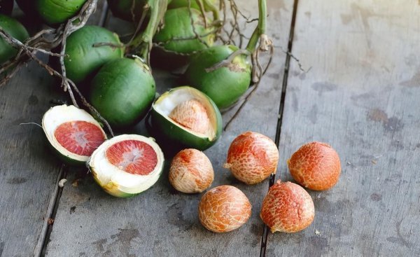 槟榔为什么上瘾