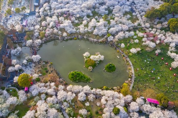 武汉市有哪些景点和好玩的地方