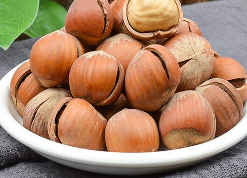 新鲜榛子的功效与作用及食用方法