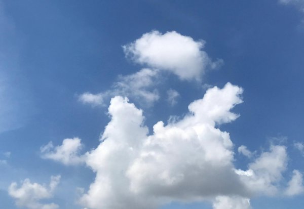 男人说女人上纲上线是什么意思