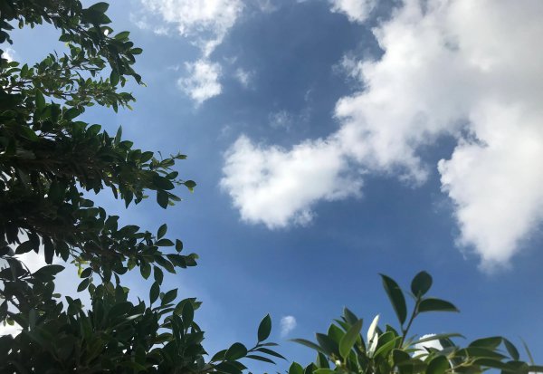 男人说女人上纲上线是什么意思