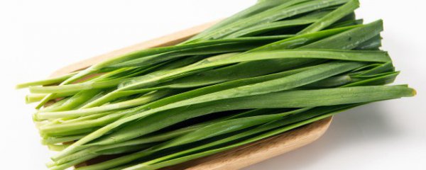 韭菜和蜂蜜能一起吃吗