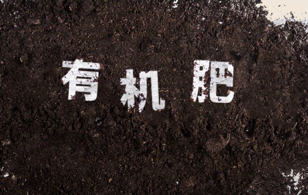 家庭养花要买什么肥料最好