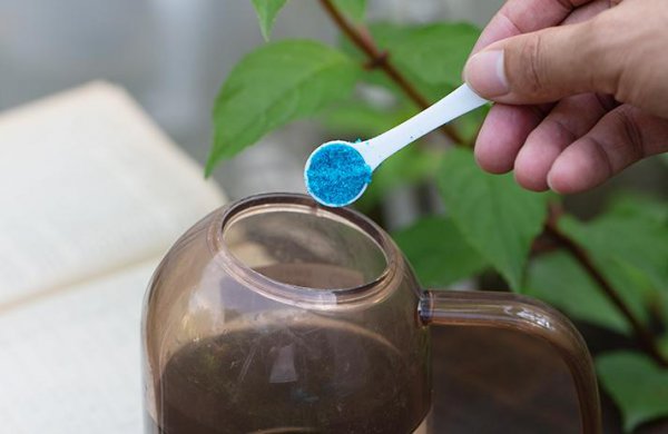 家庭养花要买什么肥料最好