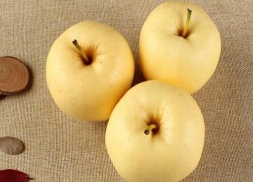 面苹果有哪些品种