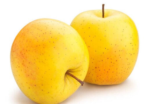 面苹果有哪些品种