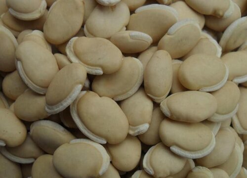 白扁豆是热性还是凉性