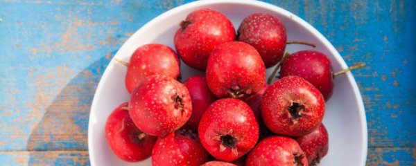 八岁男孩吃山楂的好处和坏处