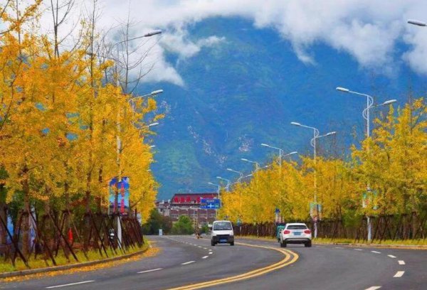 浙江仙居在哪里