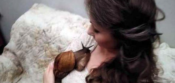 外来物种有哪些