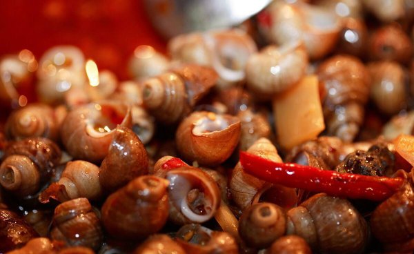 外来物种有哪些