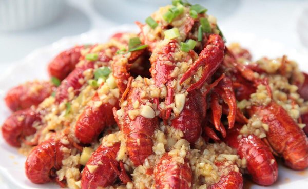 外来物种有哪些