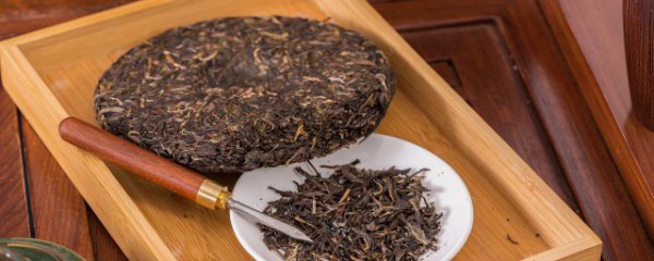 冷泡茶可以泡的茶