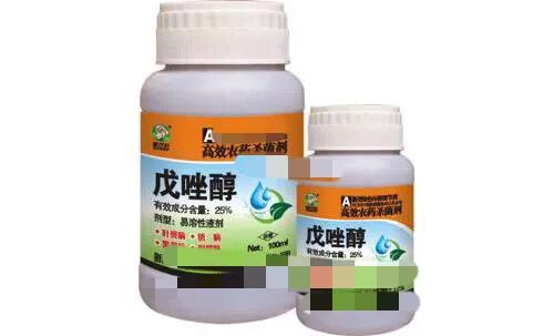 辣椒苗移栽后几天能打药